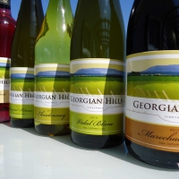 Georgian Hills Vineyards: A Vision in the Making