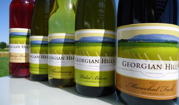 Georgian Hills Vineyards: A Vision in the Making